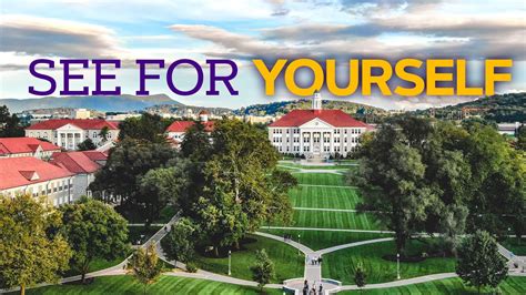 Flex off campus jmu. Things To Know About Flex off campus jmu. 